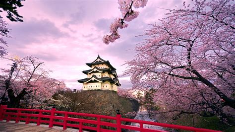 Free Download Japan Wallpapers Japan Background Page 8 1920x1080 For
