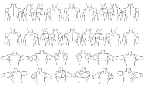 “male Torso Rotation” Reference Sheet Art Drawing Tips By 匿名の