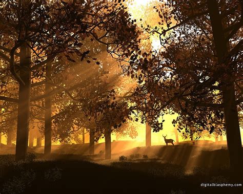 Crepuscular Lights Passing Through Forest Wallpaper Sunset Deer Hd
