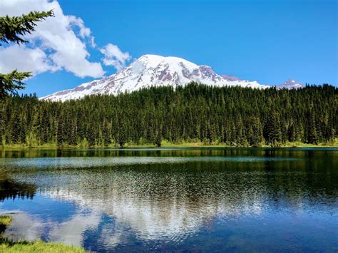 Mt.Rainier seen from Reflection Lake - A beauty of Pacific Northwest 