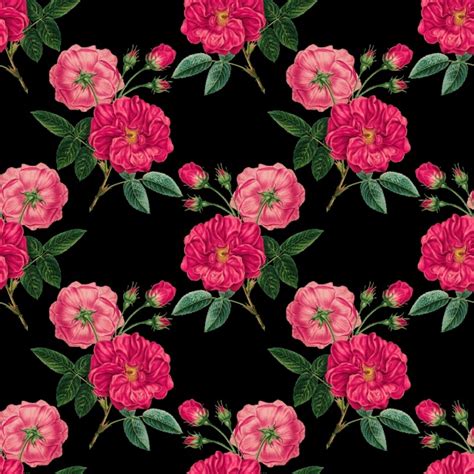 Vintage Roses Background Pink Free Stock Photo Public Domain Pictures