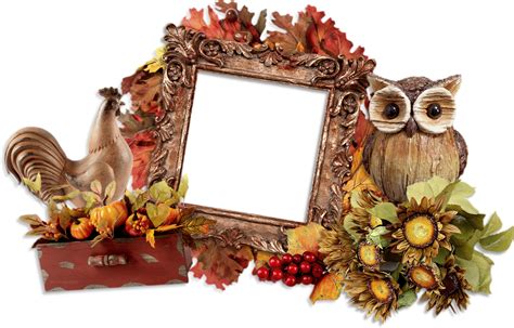 Cadre Automne Png Hibou Autumn Frame Png Owl Fall