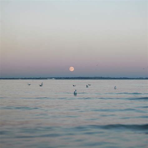 Full Moon Over Sea And Horizon At Dusk Humlebaek Denmark Digital Art