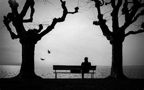 Wallpaper Loneliness Lonely Bench Silhouette Hd Widescreen High