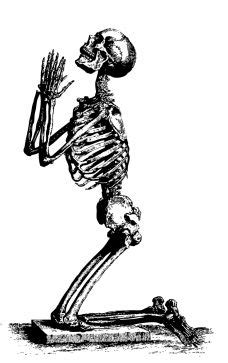praying skeleton | Human skeleton, Skeleton drawings ...