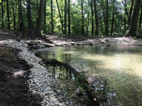 Renovating a Natural Pond » Platinum Ponds & Landscaping