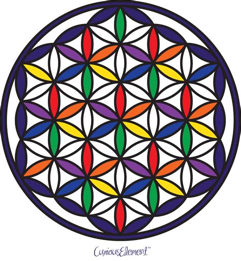 Good For A Reference Drawing The Flower Of Life Colors Indicate The