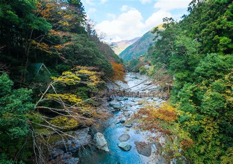 Iya Valley Japan Travel Guide Japanspecialist