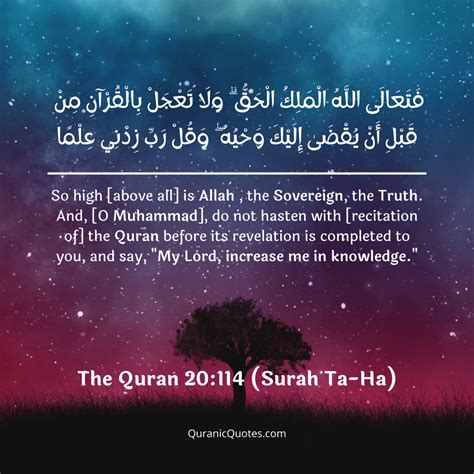 443 The Quran 20114 Surah Ta Ha Quranic Quotes