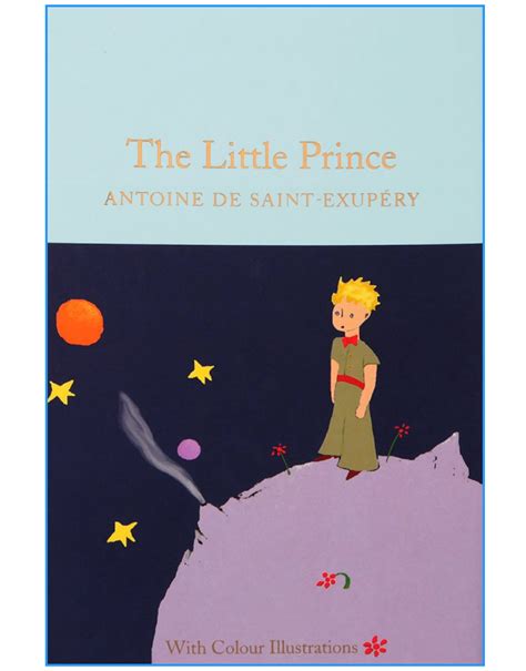 The Little Prince Book Illustrations The Little Prince Skaterhoodies