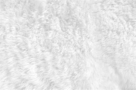 White Fur Stock Photos Pictures And Royalty Free Images Istock