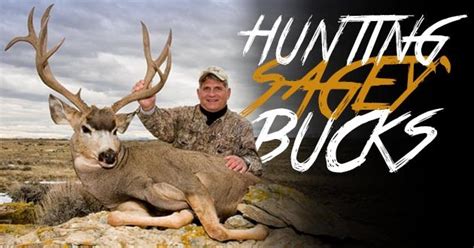 Hunting Sageybucks Eastmans Official Blog Mule Deer Antelope