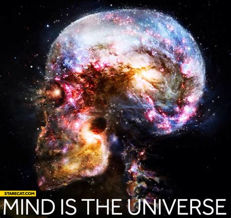 Disfigured Praise The Universe Is Mind Not Machine