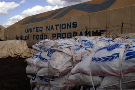 Un Cuts Food Rations For Refugees In Kenya By 30 Percent Cgtn Africa