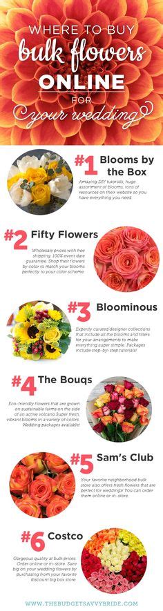 Maybe you would like to learn more about one of these? 31 Best Bulk Flowers at Wholesale Prices - Open to the ...
