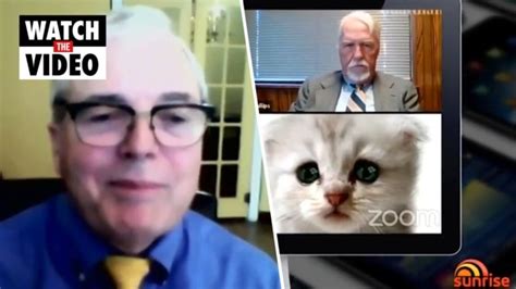 Lawyer And Judge Behind Viral Cat Zoom Court Meeting Address Hilarious