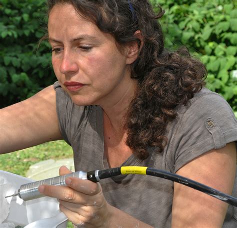 Natalie Tyler Working On Trophy The African Kob Antelopecropped Cerf