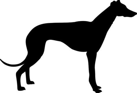 Dog Jumping Silhouette at GetDrawings | Free download