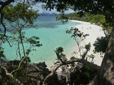 Malcapuya Island Coron Philippines Top Tips Before You Go With