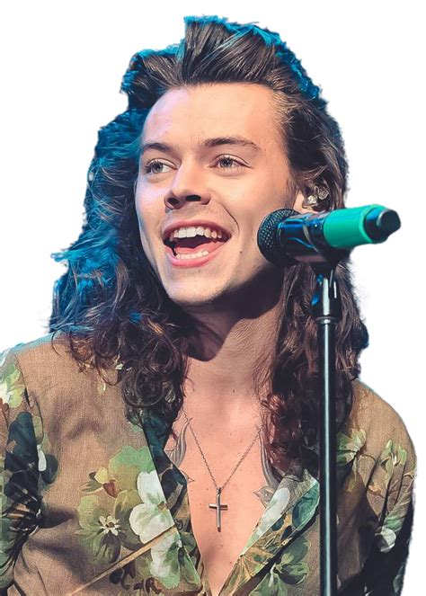 Harry Styles Transparent Image - Cat PNG | Harry styles long hair, Long hair harry, Long hair styles