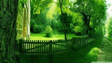 27 Latest Green Background Hd Images Complete Background Collection