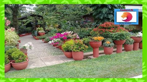 Small Vegetable Garden Ideas In Sri Lanka Discover Srilanka Sri