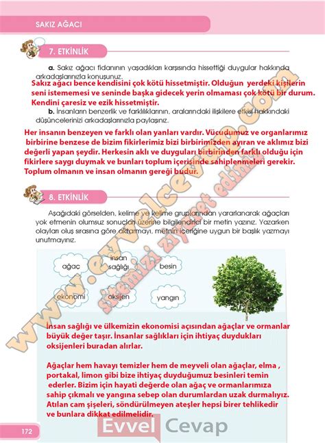 4 Sınıf Özgün Yayınları Türkçe Ders Kitabı Cevapları Sayfa 169 170 171