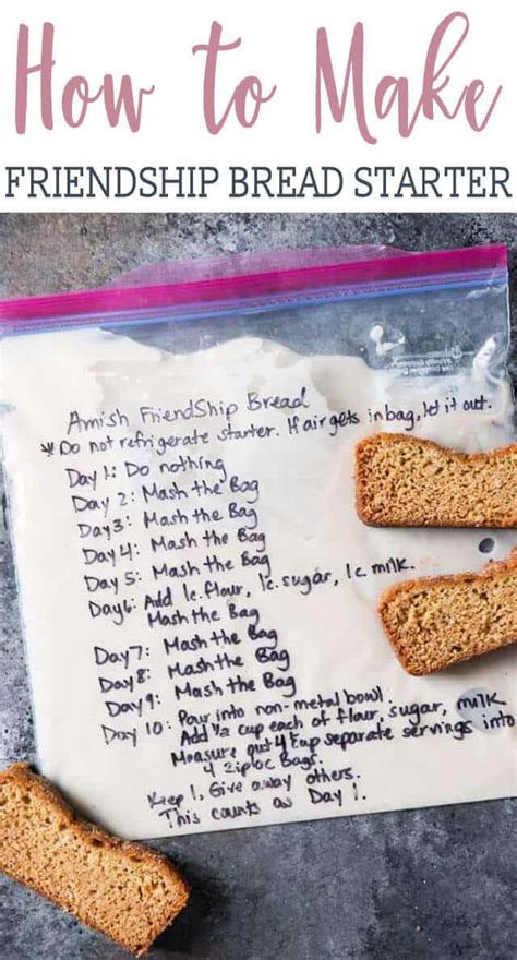 Amish Friendship Bread Starter Recipe {hints For Storing And Using This Sweet Sourdough}