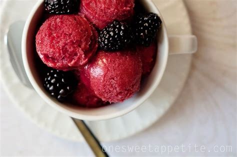 Easy Berry Sorbet Recipe One Sweet Appetite