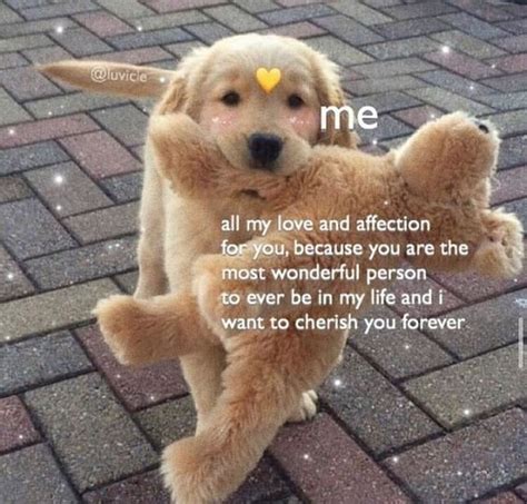 47 Wholesome Love And Affection Memes For That Special Person Cute