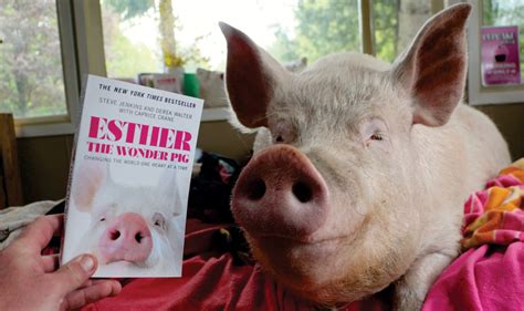 Esthers Books — Esther The Wonder Pig Pig Micro Piglets Steve Jenkins