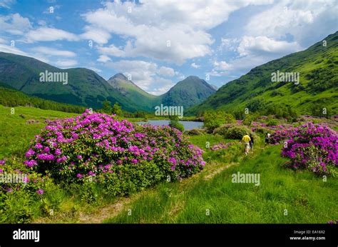 Scottish Highlands Hi Res Stock Photography And Images Alamy