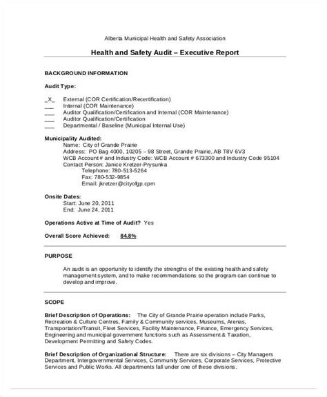 12 Safety Audit Report Templates Pdf