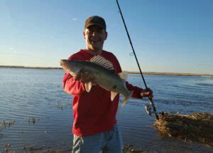 He is also a licensed guide by the state of north dakota and is fully insured. Why Devils Lake This Summer??!! - Devils Lake Fishing Report