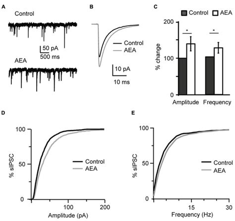 The Endogenous Cb Agonist Aea Anandamide Replicated The Effect Of Win