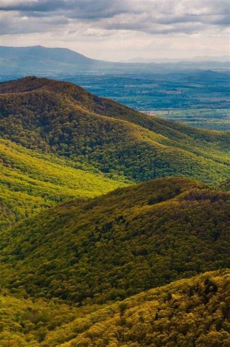 Driving skyline drive is the best way to see shenandoah national park and highlights like sunsets, wildlife, waterfalls and 70+ overlooks. Skyline Drive, Shenandoah National Park in Front Royal ...