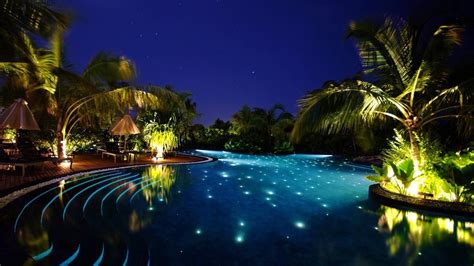 Palm trees at night | lolo. 🥇 Ocean night lights palm trees swimming pools wallpaper ...