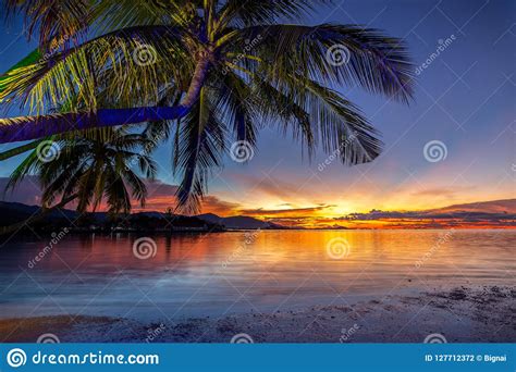 Beautiful Sunset With Coconut Palm Tree On The Beach In Koh Samui
