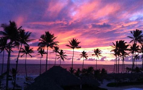 Sunset 2 Fotografía De Now Larimar Punta Cana Bávaro Tripadvisor