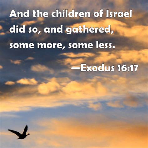 Exodus 1617 And The Children Of Israel Did So And Gathered Some More