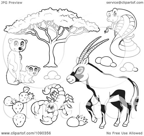 Animals of the savanna coloring pages. Clipart Outlined Meerkat Scorpion Cobra And Gazelle ...