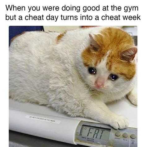 Pin On Gym Memes