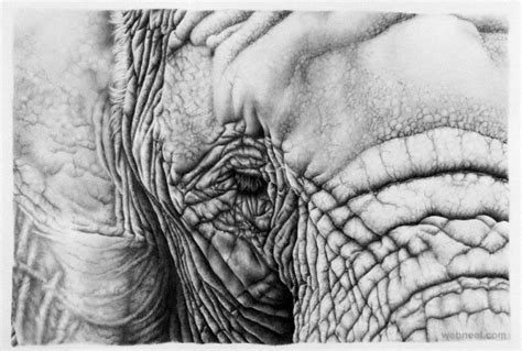 30 Hyper Realistic Pencil Drawings By Romanian Artist Ileana Hunter