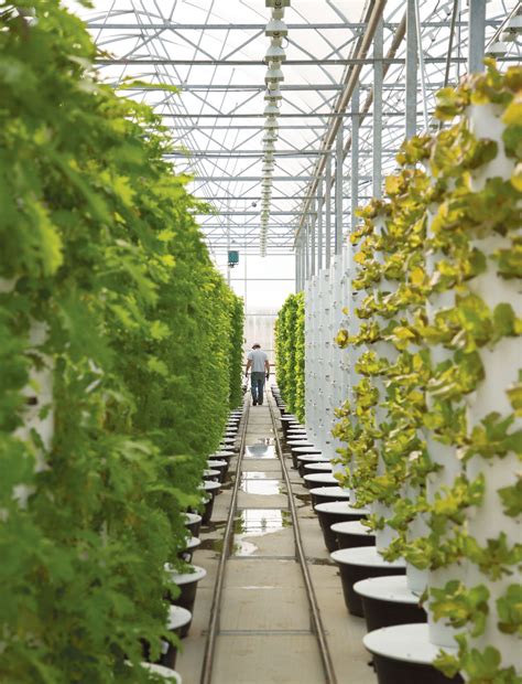 Scissortail Farms Aeroponic Greenhouse Supplies Tulsa With Fresh
