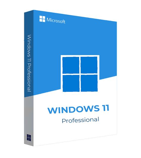 Windows 11 Professional Key Activation Safe Licenses