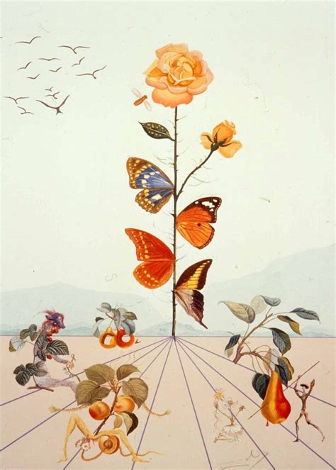 Flordali Ii The Butterfly Rose By Salvador Dalí Etsy Nel 2023