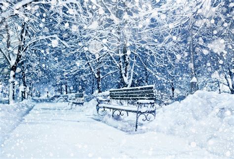 Laeacco Winter Snow Park Trees Bench Bokeh Scenic Photography