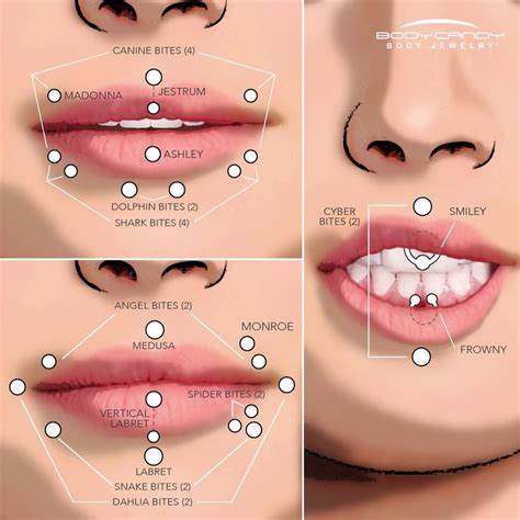 The Piercing Dictionary Facial And Lip Piercings Mouth Piercings Piercings Earings Piercings