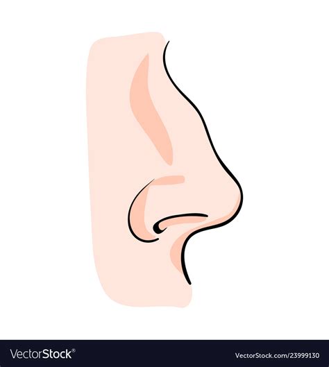 Cartoon Nose