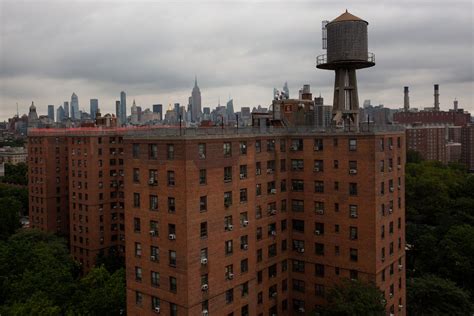 What Is Nycha Your Questions Answered About New York City Public